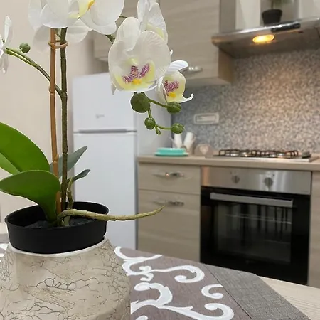 Hébergement de vacances Nammuratè -